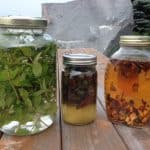 Sun Teas and Infusions