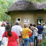Tour of Thatched, Straw Bale Home