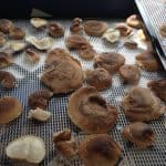 Dehydrating Shitake Mushrooms