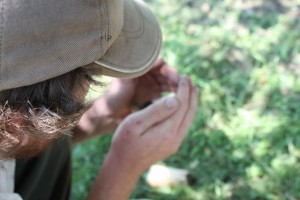 IMG_0031