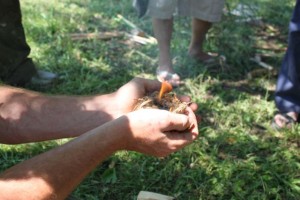 IMG_0035
