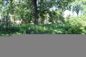 IMG_0122