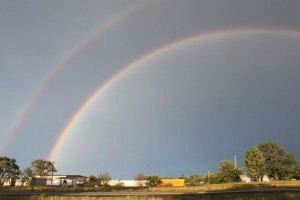 IMG_0554