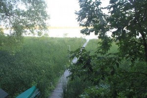 IMG_0594
