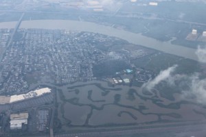 IMG_0901