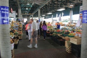 IMG_1041