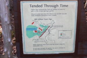 IMG_1960