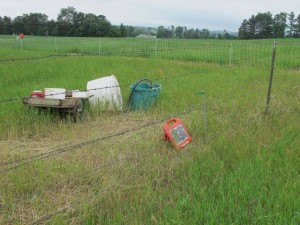 035 Solar Powered Electric Fence Crazy Rooster PDC 6-21-2011 IMG_0682