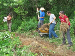 055 Seed and Mulch the Swale Crazy Rooster PDC 6-21-2011 IMG_0722