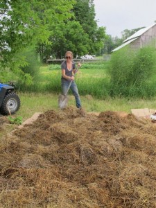 064 Kelly Spreads the Mulch Crazy Rooster PDC 6-21-2011 IMG_0742