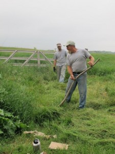 070 Jay and Sean Cut Grass for Sheet Mulch Crazy Rooster PDC 6-21-2011 IMG_0756