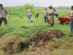 072 Sheet Mulch Nearly Done Crazy Rooster PDC 6-21-2011 IMG_0758