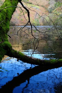 6279341067_791187ee79