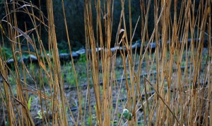 6279365643_fce8bb12f0