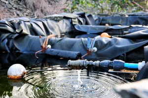 6279879228_0bbe6b5620