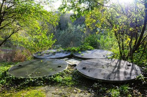 6279883738_2c2f685015