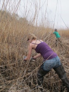 2012-03-23 005 kaitlyn and jarad cut reeds IMG_3754
