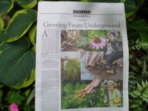 NYT-cover-shot-300x225