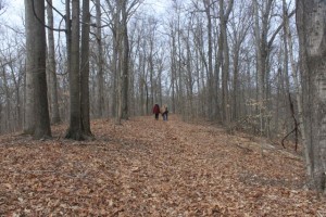 IMG_4491