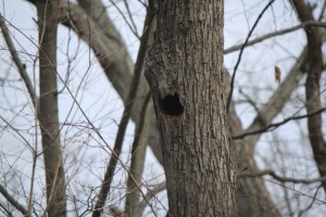 IMG_4545