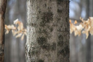 IMG_4563