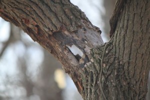 IMG_4573