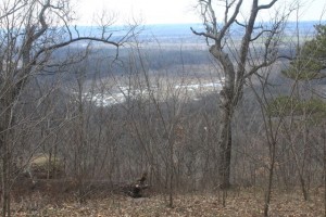 IMG_4597