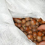 DSCN0068