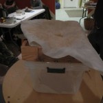 DSCN0072