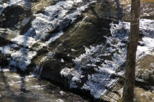 IMG_0005