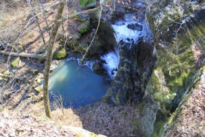 IMG_0007