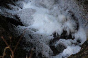 IMG_0009