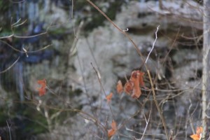 IMG_0014