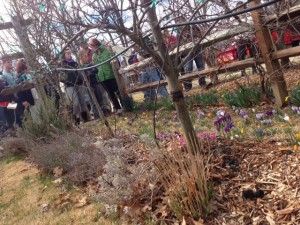 photo(14)