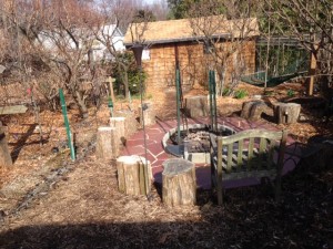 photo(20)