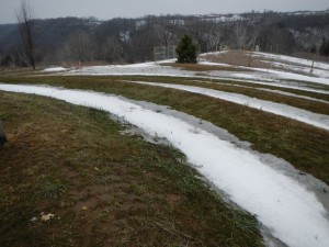 DSCN0082