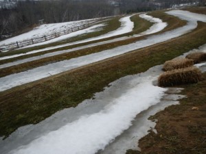 DSCN0083
