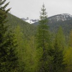 DSCN0113