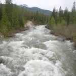 DSCN0119