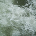 DSCN0120
