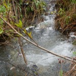 DSCN0122