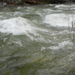 DSCN0123