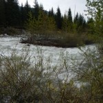 DSCN0125