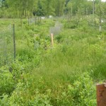 DSCN0140