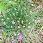 DSCN0146