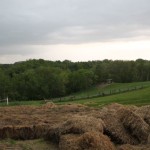 IMG_0237
