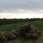 IMG_0238