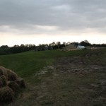 IMG_0239