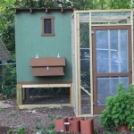 Chicken Shack and Shed