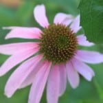 IMG_3615
